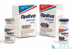 ����EGFRͻ��ķΰ����߿���ʹ��PD-1���Ƽ�������