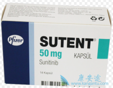 �������ᣨsutent�������������ת�ƻ���������