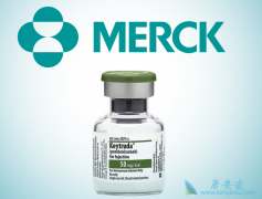 PD-1���Ƽ���������ư�֢��PD-1���Ƽ����û�����ʲô��