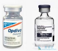 ��һ��PD-1���Ƽ�����Ч���ȽϺã�PD-1���Ƽ�֮��Ĳ�����