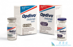 PD-1���Ƽ�Keytruda������Ϊ�ΰ���һ�����Ʒ�����