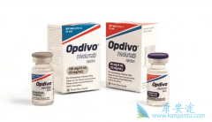 PD-1���Ƽ�Opdivo�ڶ��ְ�֢�����б��ֳ�������Ч��