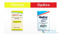 Opdivo���������׸������׼��PD-1���Ƽ�