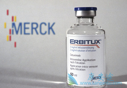 西妥昔单抗 西妥昔单抗