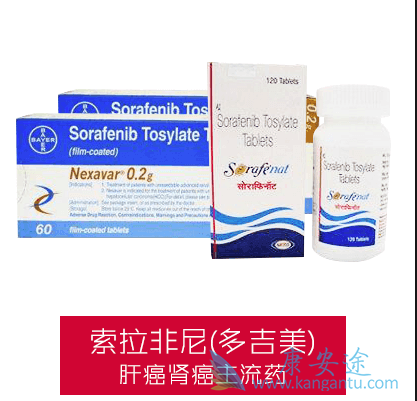 ��������Ƭ