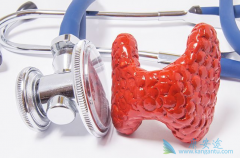 ��������Ƭ������������������������Ч