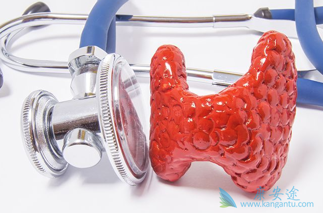 ��������Ƭ