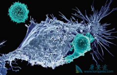 CAR-Tϸ���Ʒ������ư�֢������ȡ������Щ�ɹ�