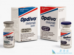 PD-1���Ƽ�Opdivo��ŷ���֣������������Ʒ�Сϸ���ΰ�����