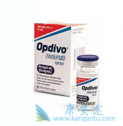 ���䵥��nivolumab�������ں�ɫ������ȫ�Ը�