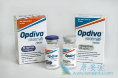 PD-1����nivolumab�����ڲ�����ҩ���ѳ������л���