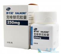 ��������Crizotinib��ROS1���ŵķΰ��л���Ч��