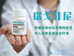 �������������ǰ�������������ƹ��ĸ�ϸ��������