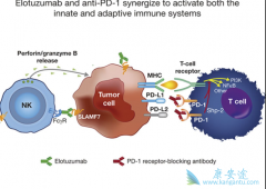 ��PD-1/PD-L1���׿�����ҩ��ͻ�����������Щ