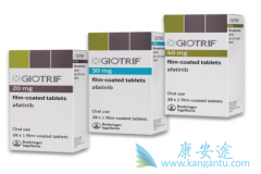 �������ᣨAFATINIB��Ҳ����Ϊ���ڷΰ���һ�����Ʒ���