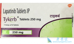 ��������(TYKERB)����ô������?��ʲô������