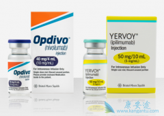 PD-1�����CTLA-4��������Щ����