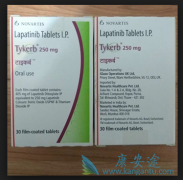 �������ᣨTYKERB������HER2+θ��������Ч����