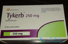 ��������lapatinib��θ������ʲô����