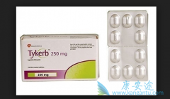 ��������lapatinib����Ӧ֢�Լ�������Ӧ����Щ