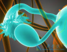 ��������Ponatinib����������������ư�Ѫ��������