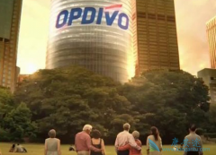 ŷ����(Opdivo)/���䵥�����й��׸����е�PD-1���Ƽ�