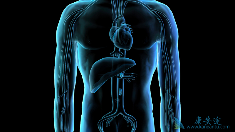 海外医疗 海外医疗