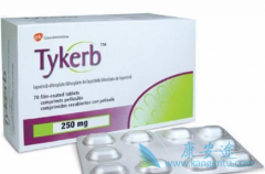 ��������(LAPATINIB)�ͺ���͡�ĸ�����Her2�������ٰ�Ч����