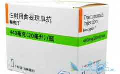 ����͡��Herceptin������ҩʱ���Ƕ�ã�������δ���Ӧ�ԣ�