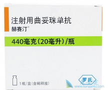 HER2�������ٰ���ʱʹ�ú���͡�������鵥����Ч�����