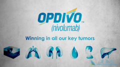 �Ѿ����е�PD-1���Ƽ���ŷ���֣��۸��Լ�Ƕ���Ǯ��