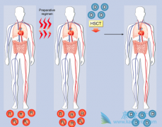 ʲô�Ƕ෢�Թ�����?��Щ�Ǹ�Σ��Ⱥ