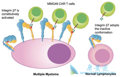 ʲô�Ƕ෢�Թ�����