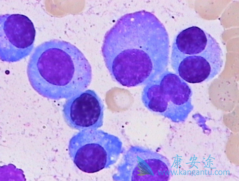 �෢�Թ�������֢״