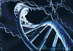 �෢�Թ�������ʳ��Ҫȡ���ڻ�������״̬