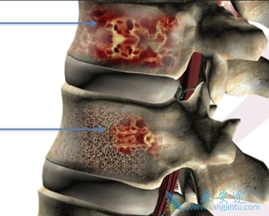 �෢�Թ�����֢״