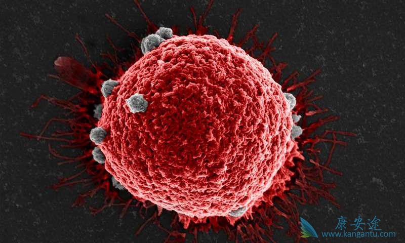 ����ҽ��