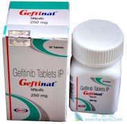 ӡ������ɳ(GEFINAT)�۸������Ч�Ƿ�����б�֤��