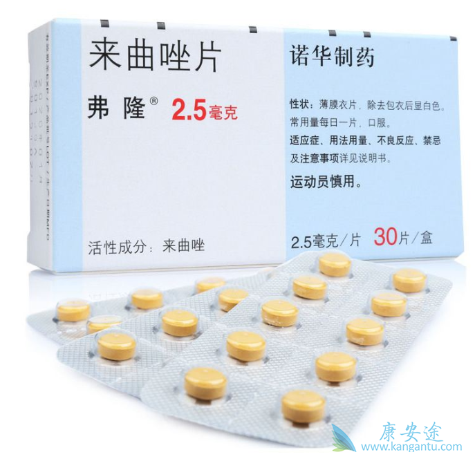 ������Ƭ