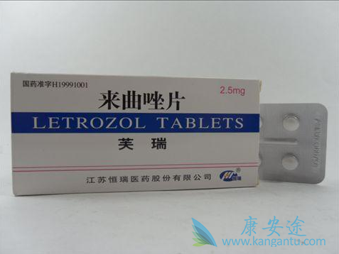 ������Ƭ