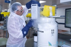 CAR-Tϸ�����Ʒ��������в�����һ����˳