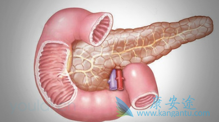 ���ٰ�����