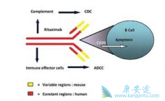 ���޻�/���������������Ʒǻ�����ܰ�������ҩ