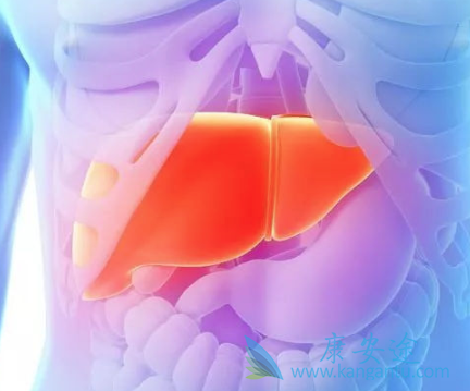 �ΰ������Ʒ���