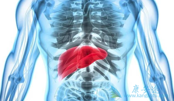 �ΰ���������