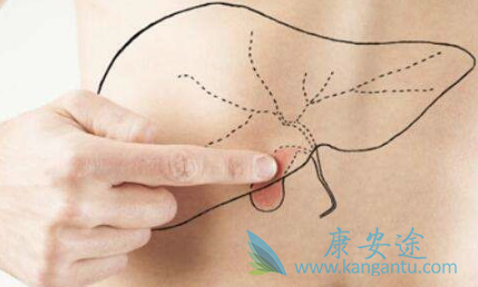 �ΰ���������