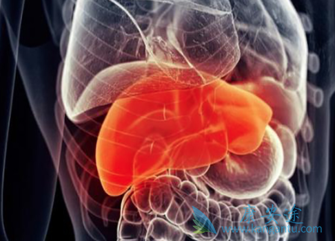 �ΰ����ڵ�����