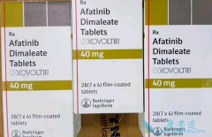 ����ͷ���۰����߷��ð�������(AFATINIB)�ܷ����DFS