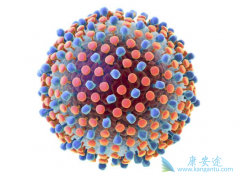 ���δ���;����ʲô�����˲����Ա����ܸ�����