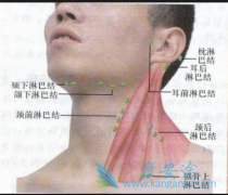 ���ѡ���������ܰͰ����Ʒ���